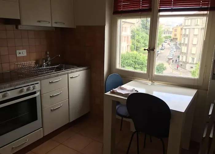 La Proximite Du Centre Avec Vue Sur Le Lac. * لوزان